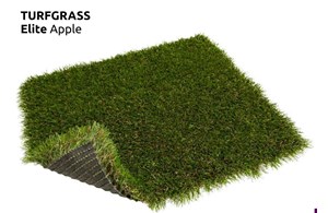 Turfgrass Elite Apple   Rasen / Gras